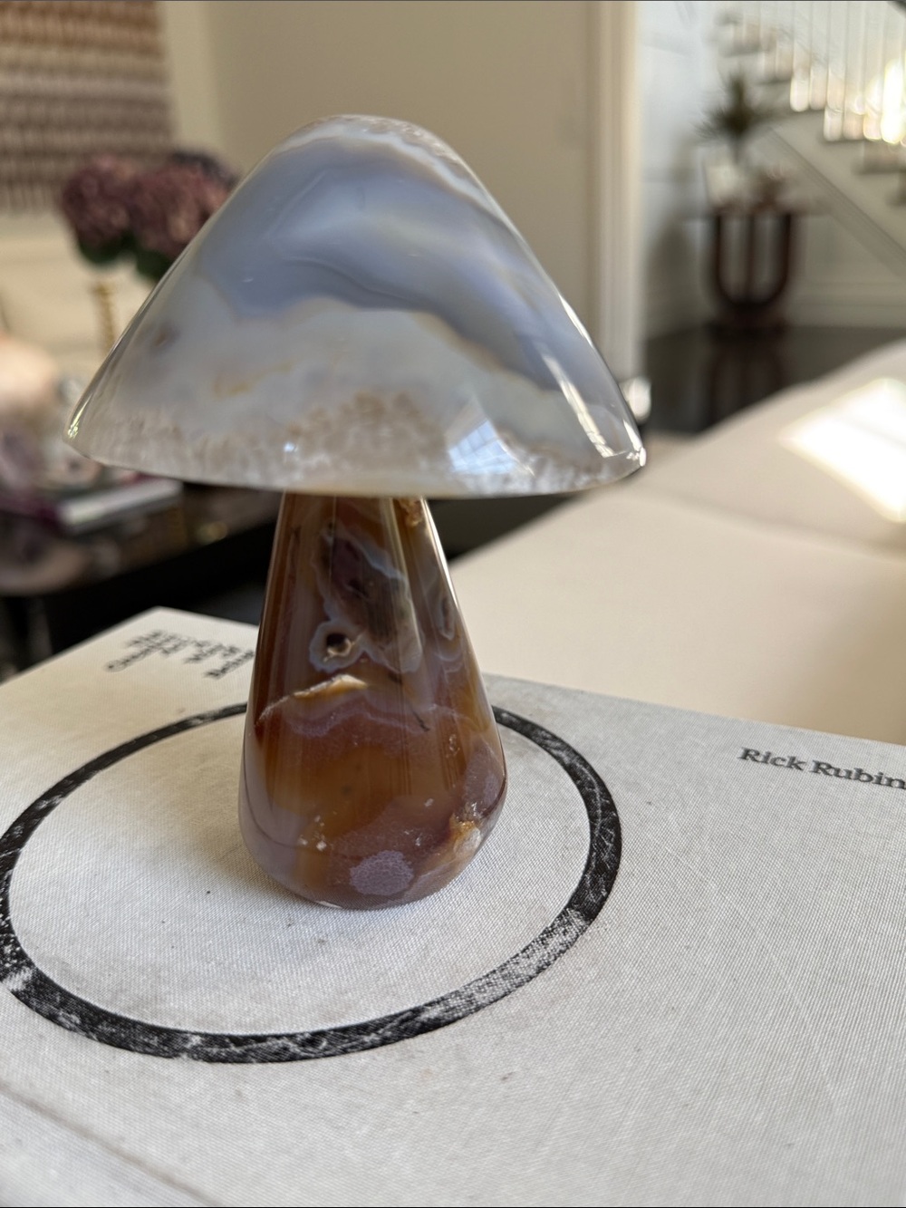 Natural Dark Gray and Brown Agate Mushroom Natural Decor